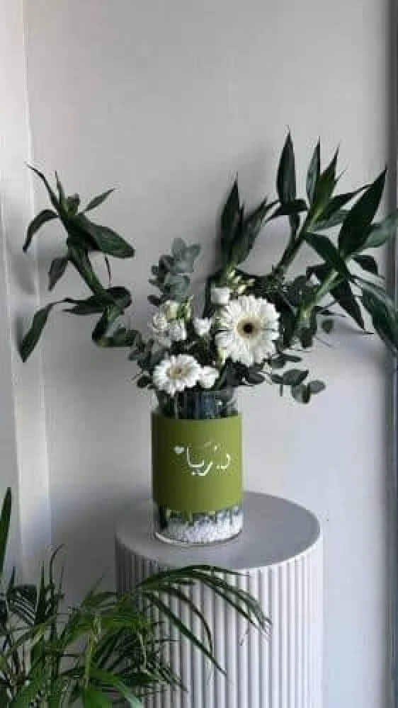 فازة البامبو