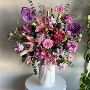 فازة طيف البنفسج