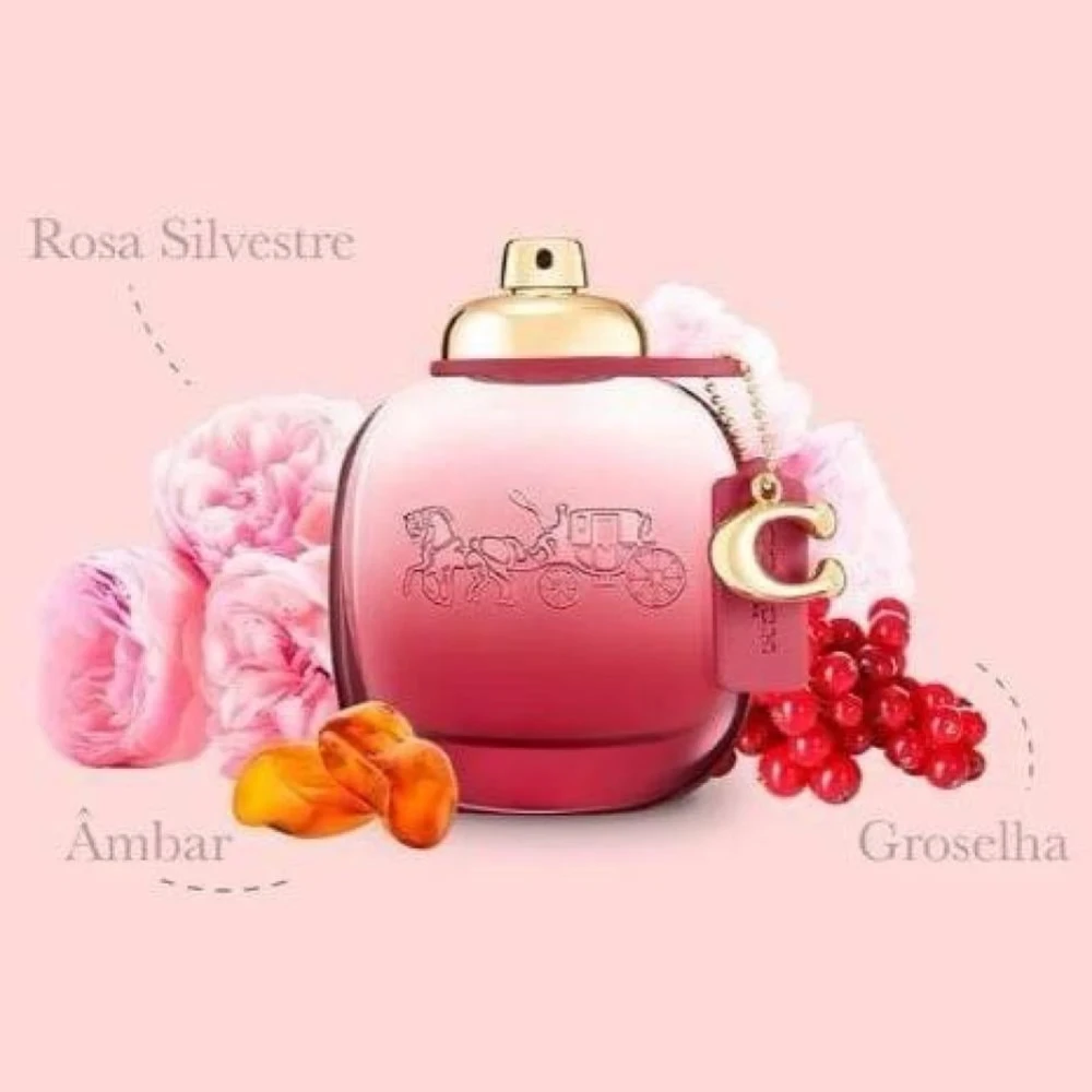 كوتش روز - Coach Wild Rose