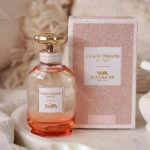 كوتش دريمز سنسيت - Coach Dreams Sunset
