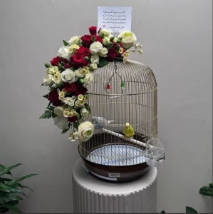 عصافير الحب