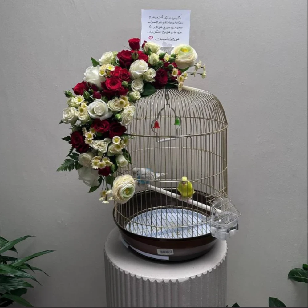 عصافير الحب