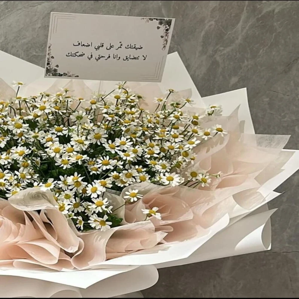 باقة البابونج