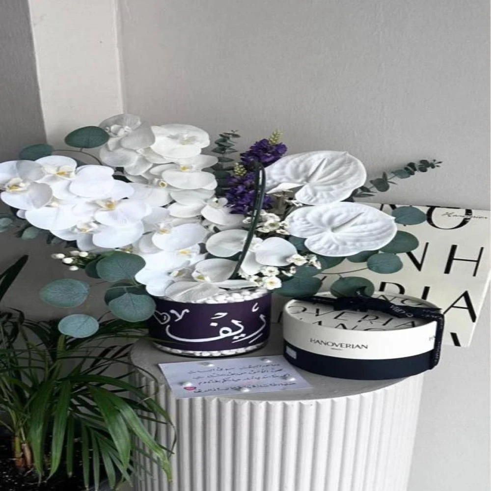 فازة الأوركيد - مع شوكولاتة هانوفريان